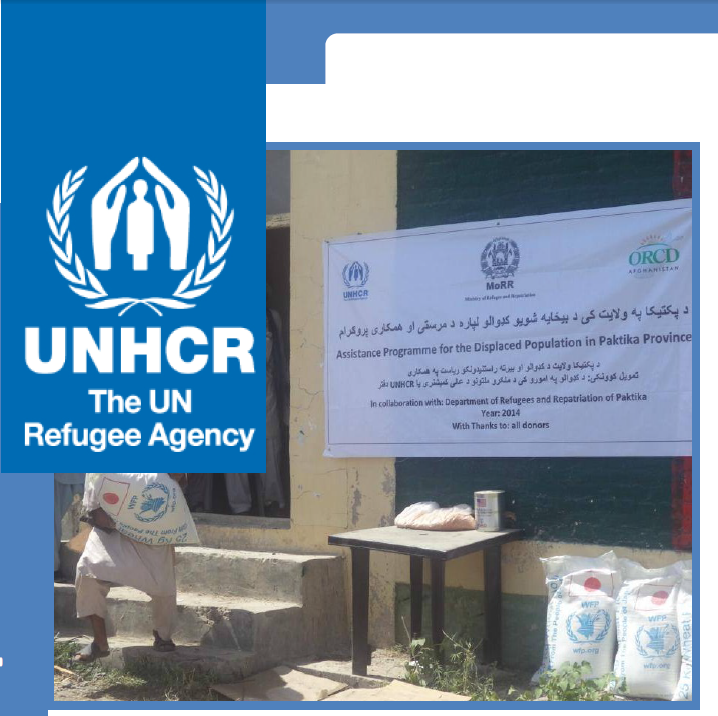 Distribution of food and NFIs, Paktika